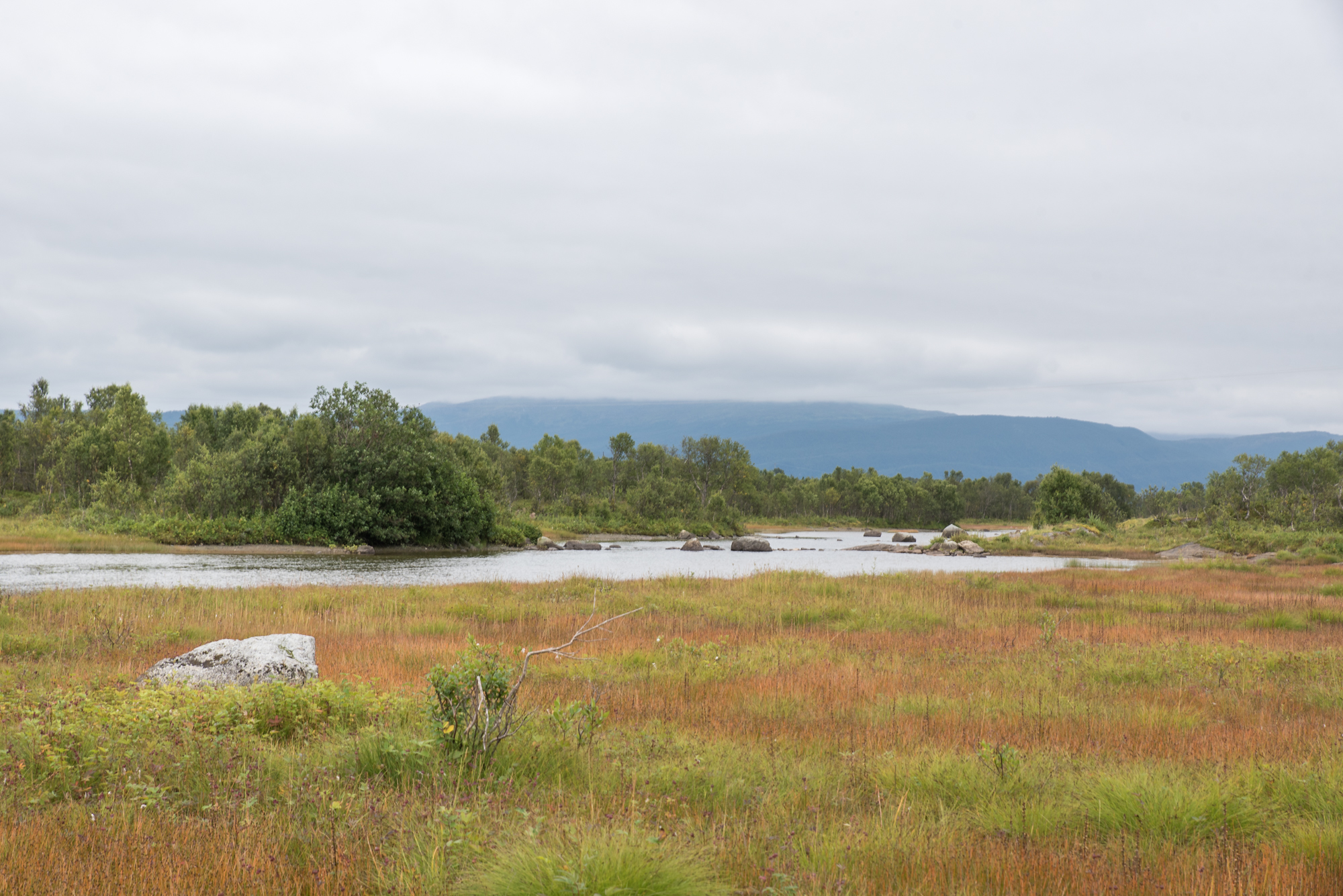 Tårstad river in Kjerkvatnet nature reserve